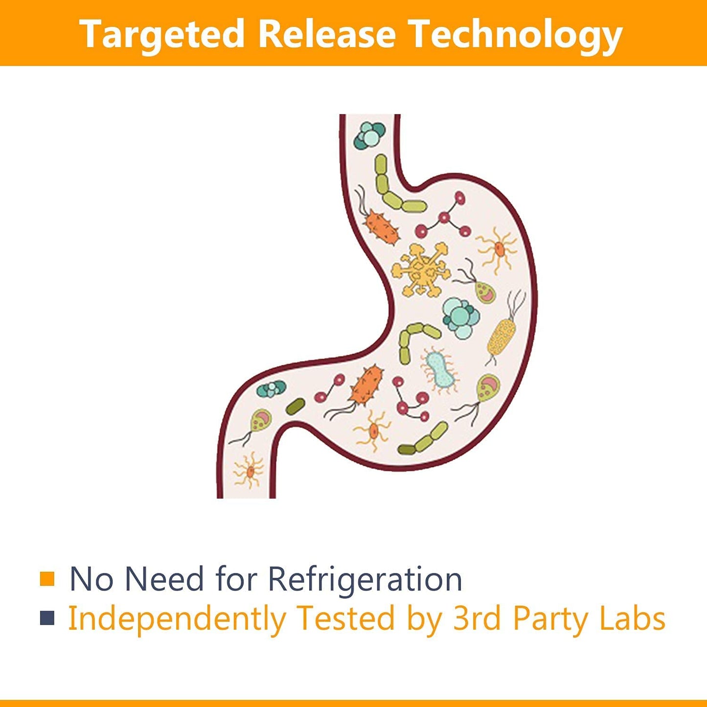 NewRhythm Probiotics 50 Billion CFU 20 Strains, 60 Veggie Capsules, Targeted Release Technology, Stomach Acid Resistant, No Need for Refrigeration, Non-GMO, Gluten Free